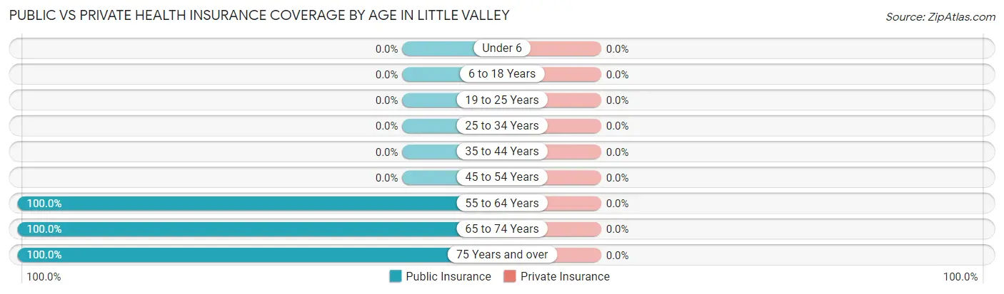 Public vs Private Health Insurance Coverage by Age in Little Valley