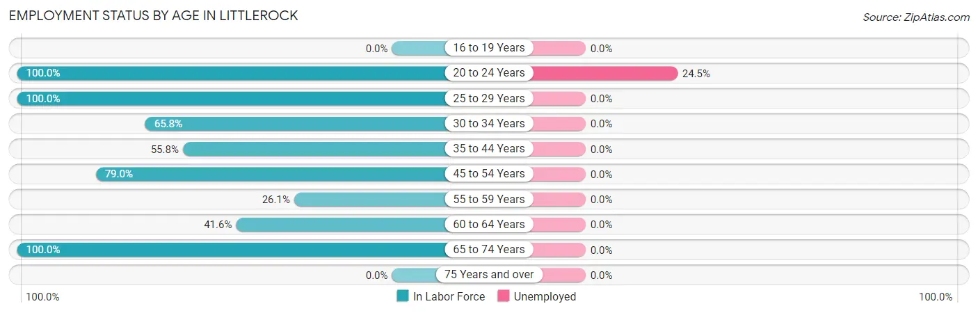 Employment Status by Age in Littlerock