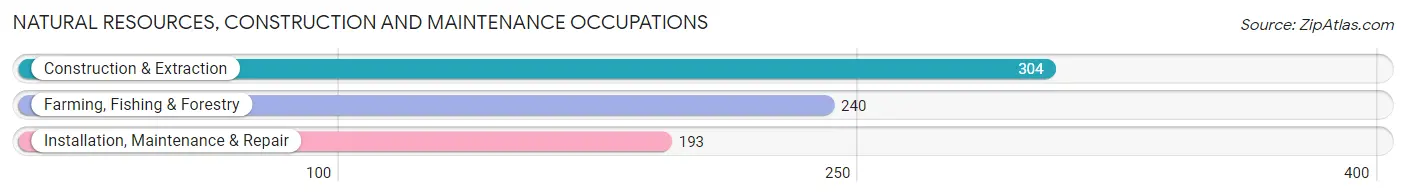 Natural Resources, Construction and Maintenance Occupations in Live Oak