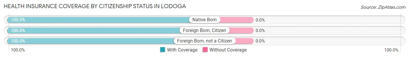 Health Insurance Coverage by Citizenship Status in Lodoga