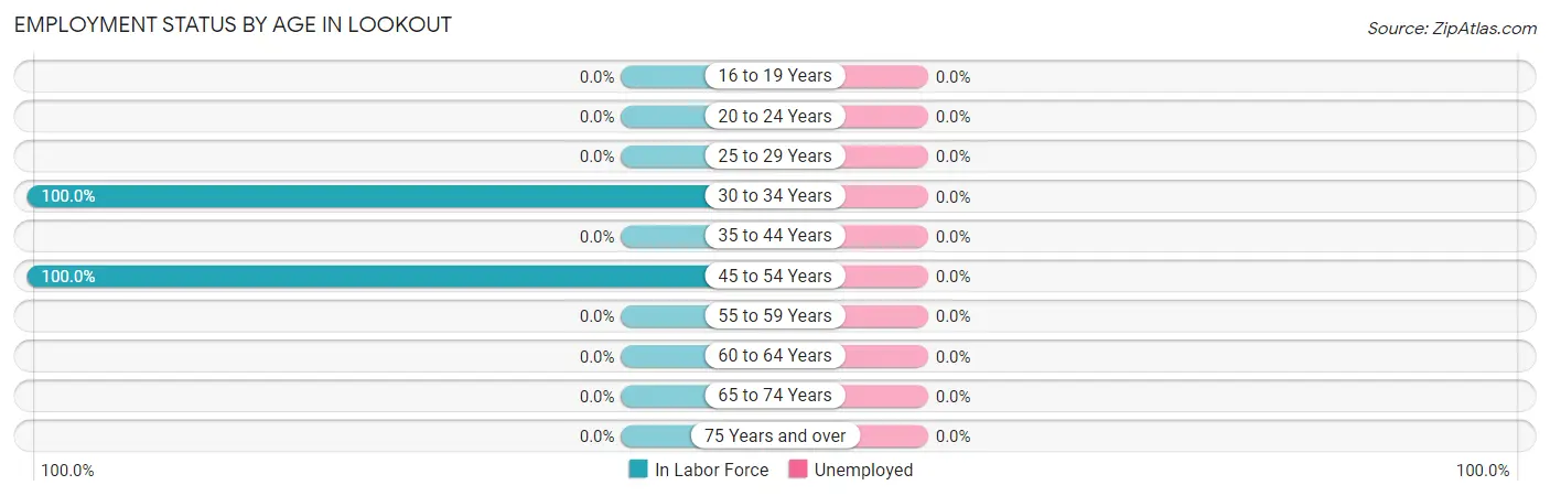 Employment Status by Age in Lookout