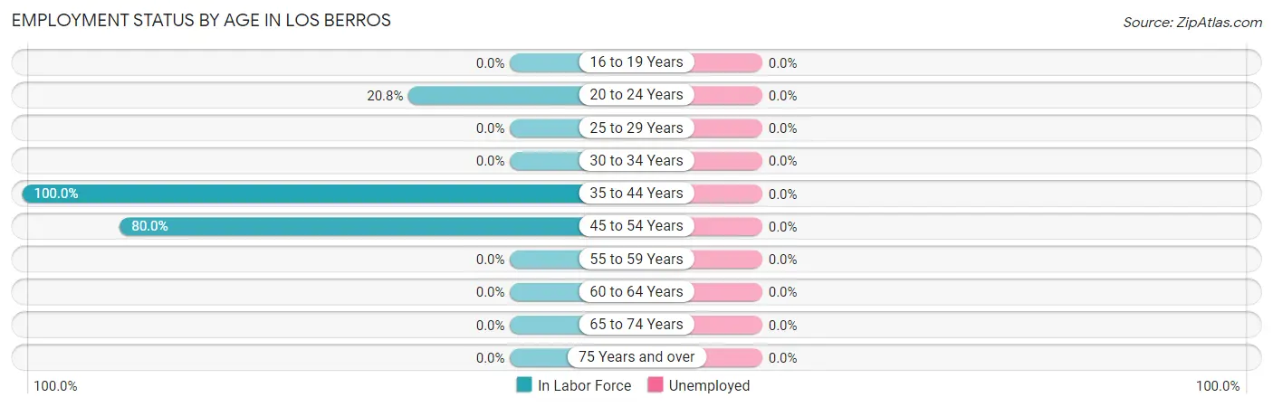 Employment Status by Age in Los Berros