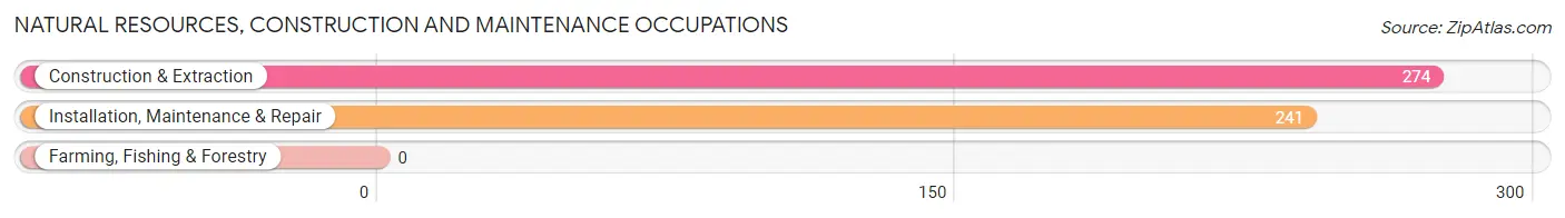 Natural Resources, Construction and Maintenance Occupations in Los Gatos