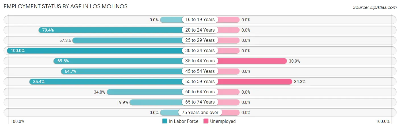 Employment Status by Age in Los Molinos
