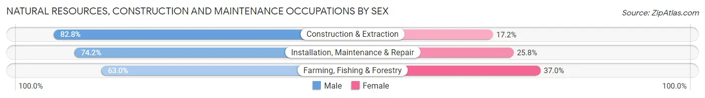 Natural Resources, Construction and Maintenance Occupations by Sex in Lost Hills