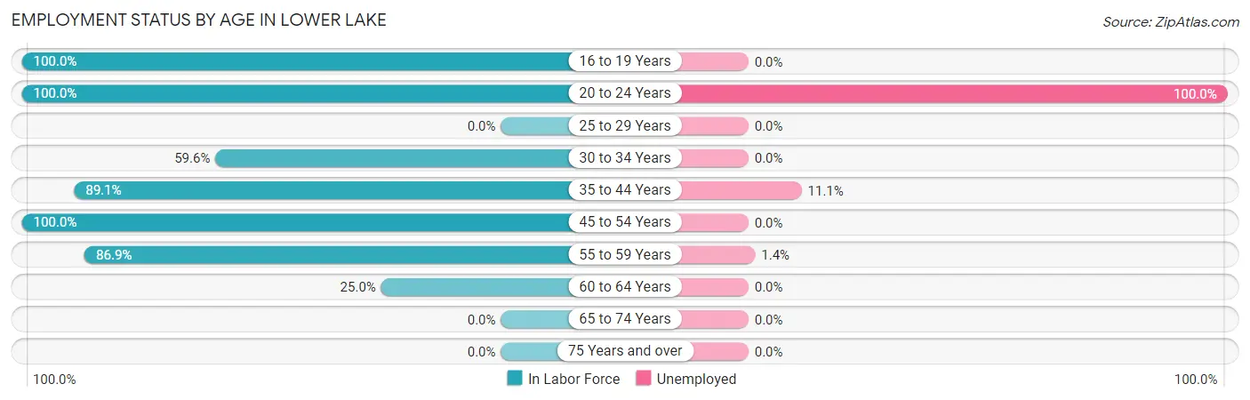 Employment Status by Age in Lower Lake