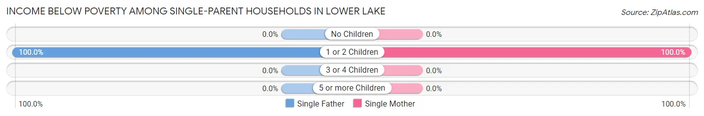 Income Below Poverty Among Single-Parent Households in Lower Lake