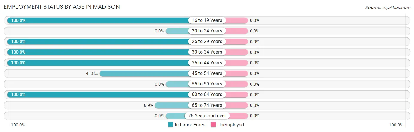 Employment Status by Age in Madison