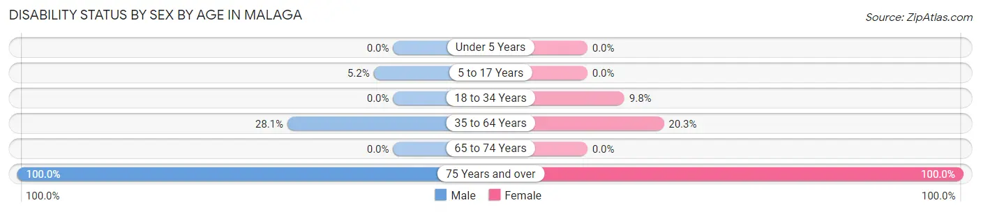 Disability Status by Sex by Age in Malaga