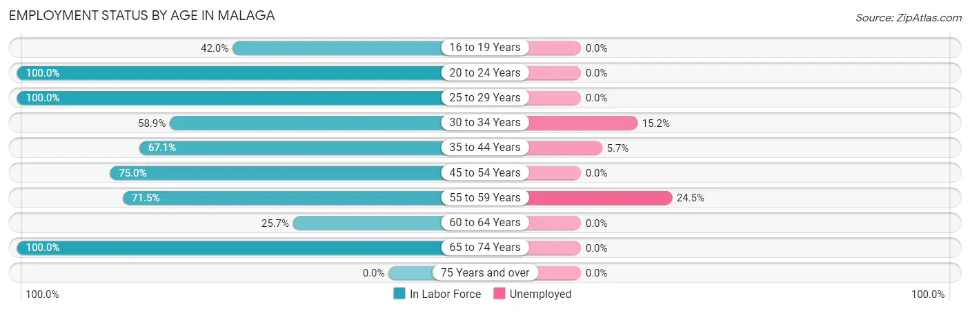 Employment Status by Age in Malaga
