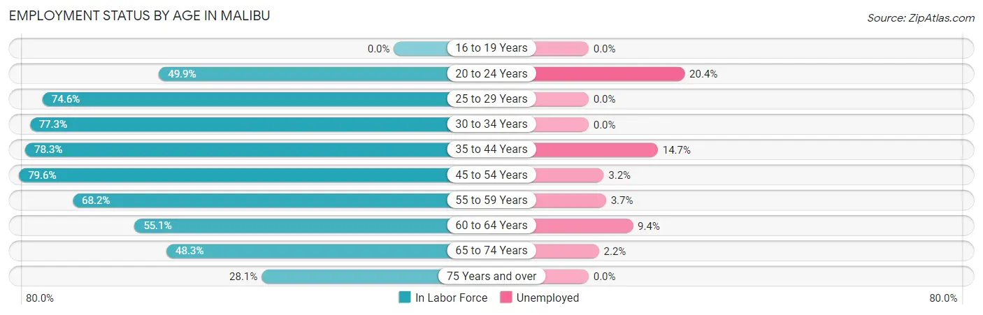 Employment Status by Age in Malibu