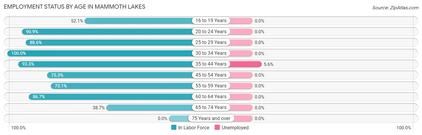 Employment Status by Age in Mammoth Lakes