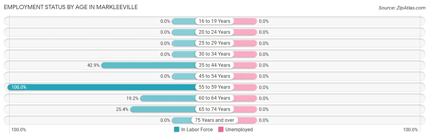 Employment Status by Age in Markleeville