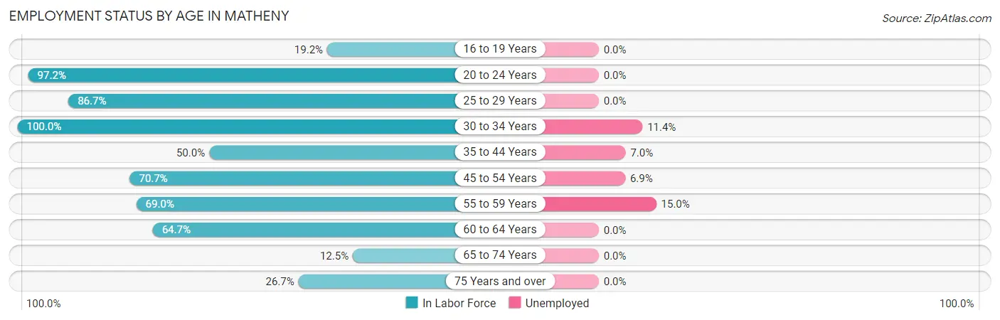 Employment Status by Age in Matheny