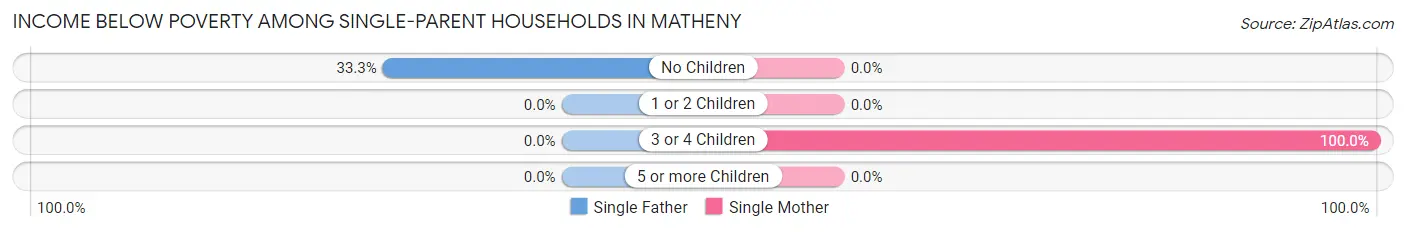 Income Below Poverty Among Single-Parent Households in Matheny