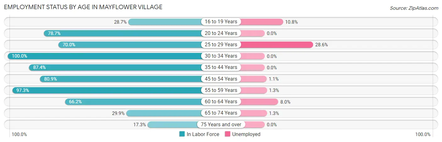 Employment Status by Age in Mayflower Village