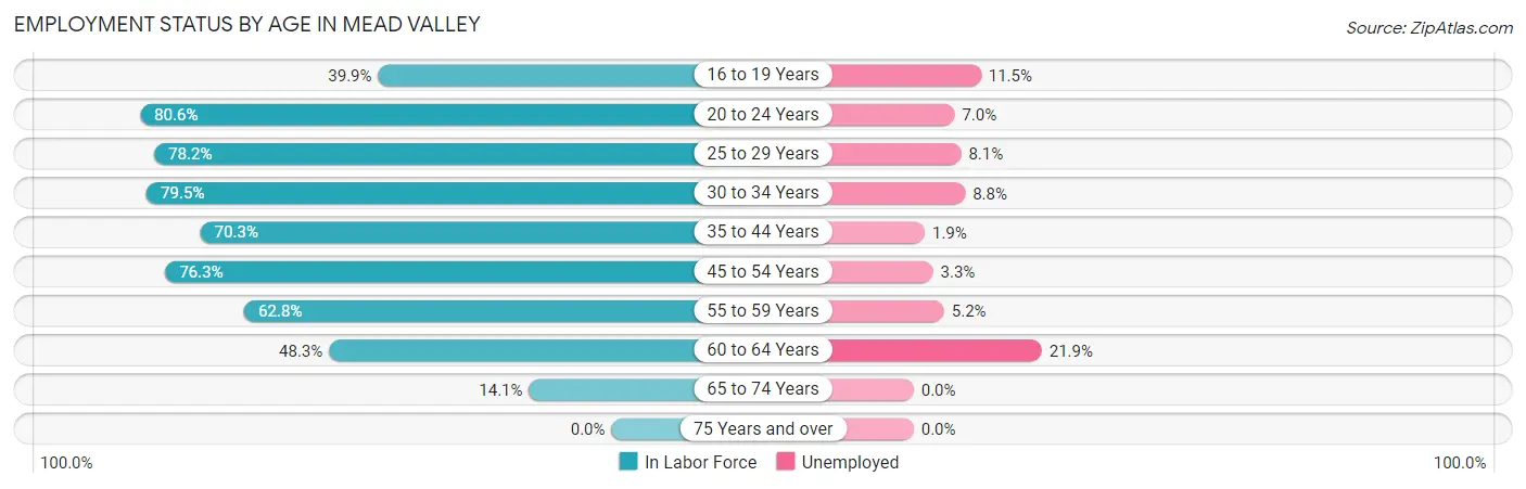 Employment Status by Age in Mead Valley