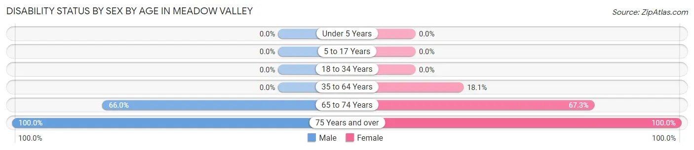 Disability Status by Sex by Age in Meadow Valley