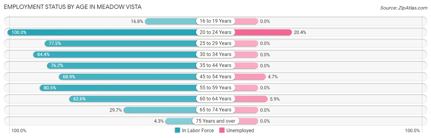 Employment Status by Age in Meadow Vista