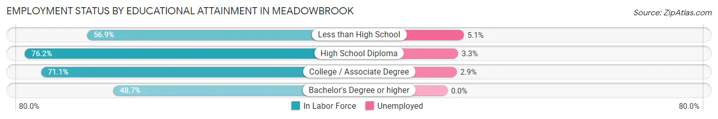 Employment Status by Educational Attainment in Meadowbrook