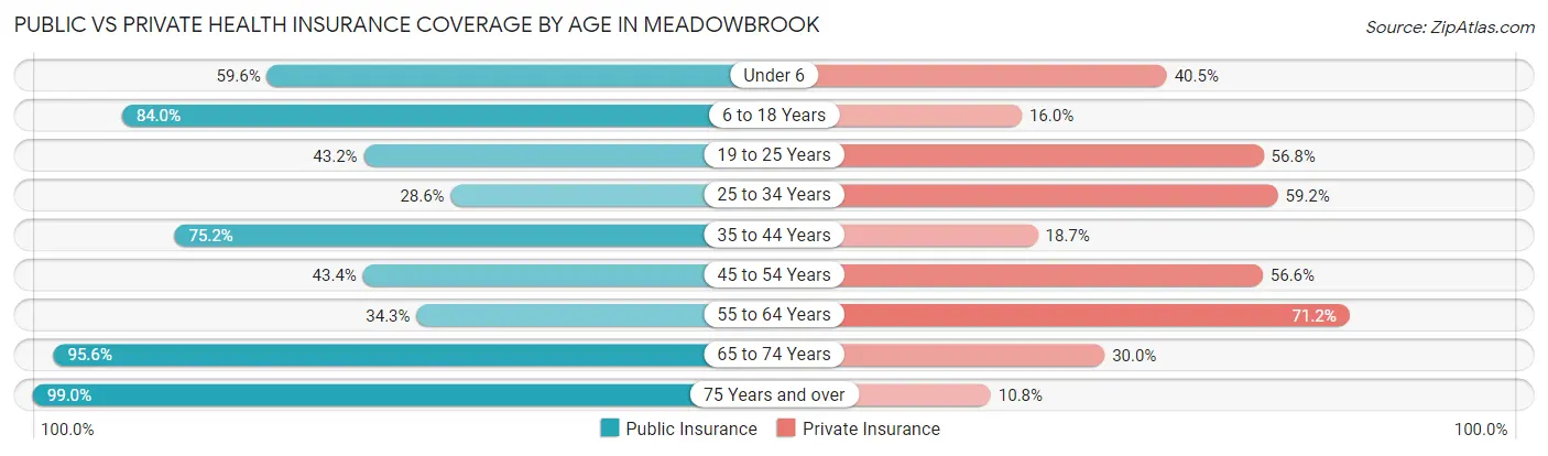 Public vs Private Health Insurance Coverage by Age in Meadowbrook