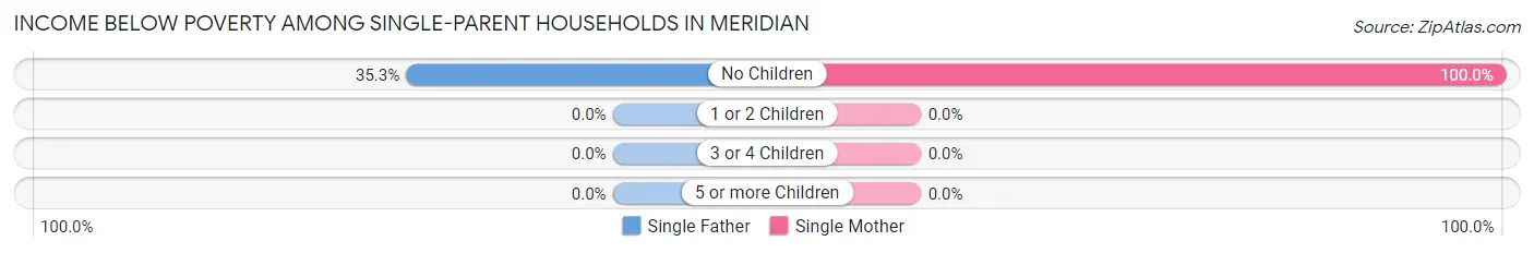 Income Below Poverty Among Single-Parent Households in Meridian