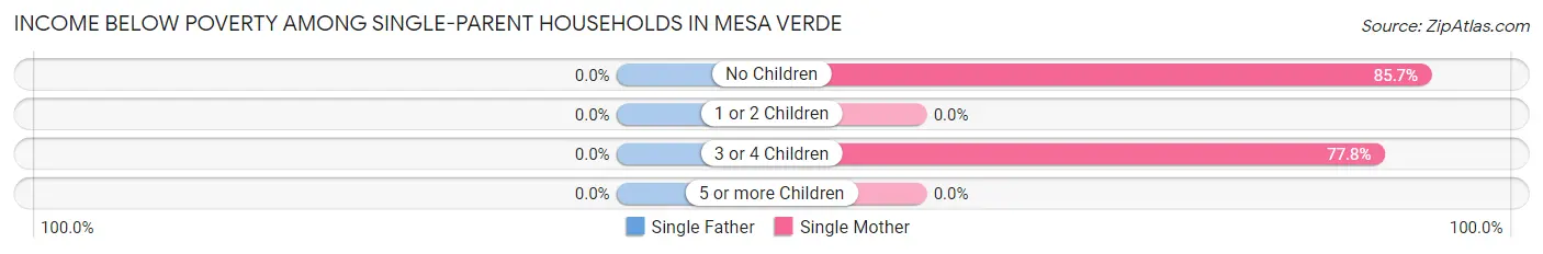 Income Below Poverty Among Single-Parent Households in Mesa Verde