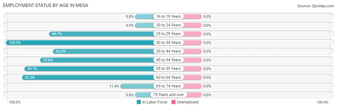 Employment Status by Age in Mesa