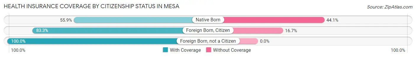 Health Insurance Coverage by Citizenship Status in Mesa