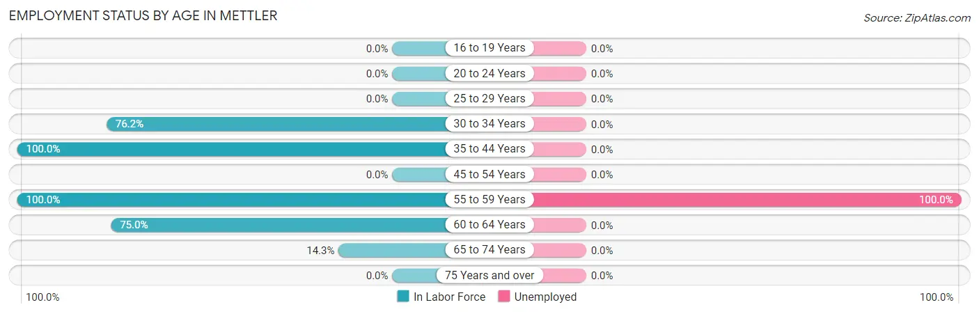 Employment Status by Age in Mettler