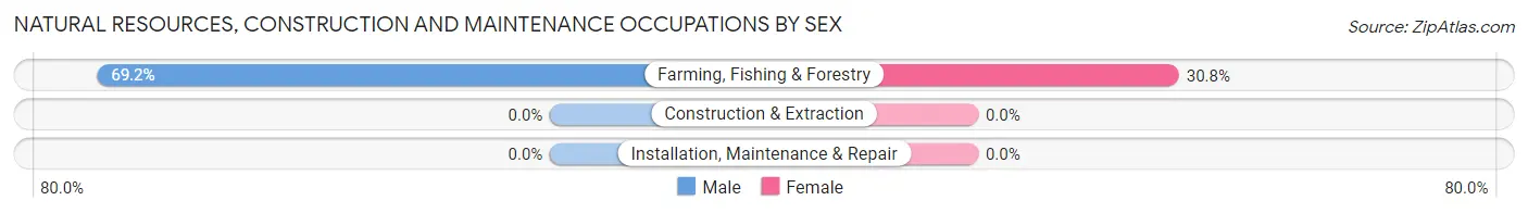 Natural Resources, Construction and Maintenance Occupations by Sex in Mettler