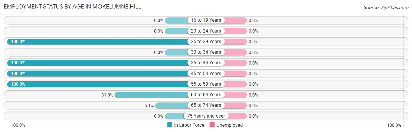 Employment Status by Age in Mokelumne Hill