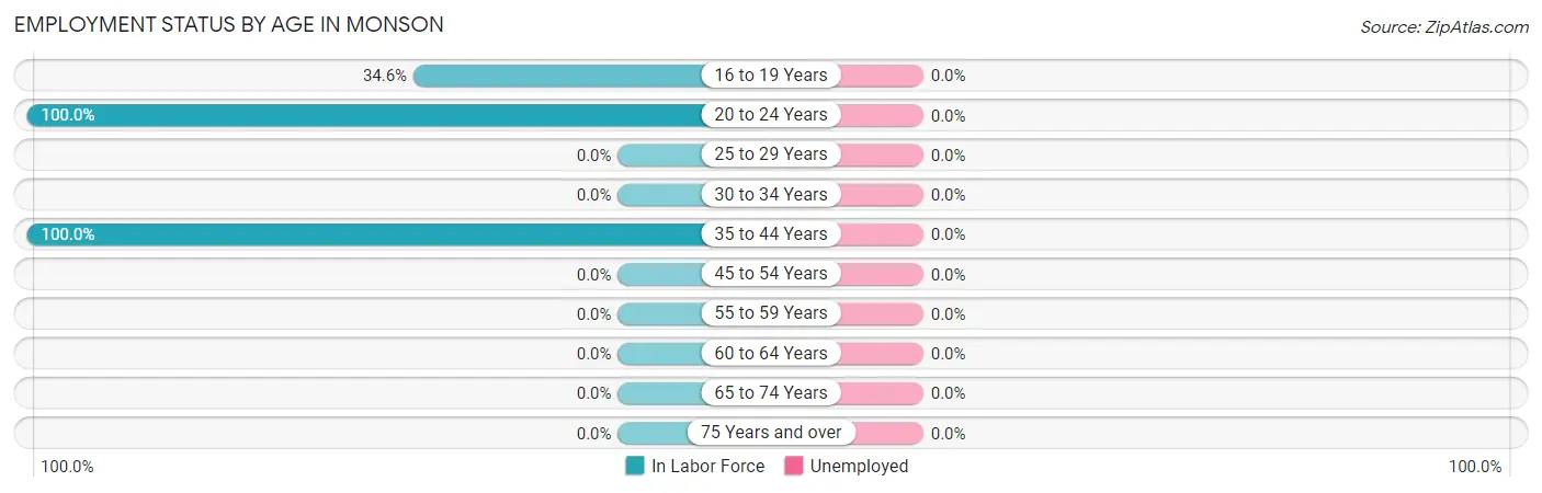 Employment Status by Age in Monson