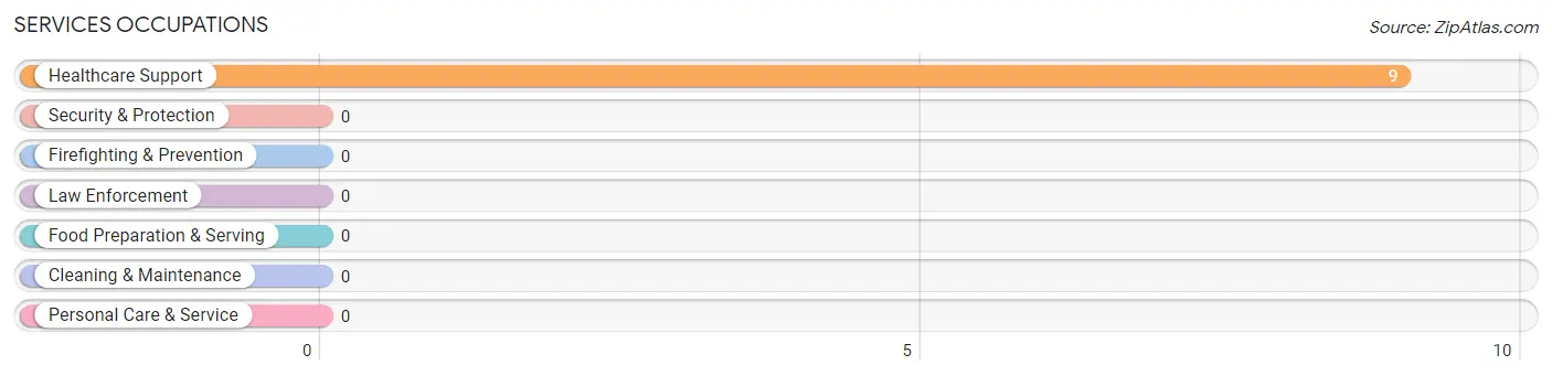 Services Occupations in Monson