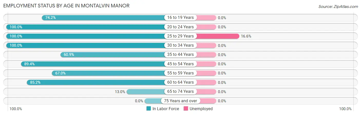 Employment Status by Age in Montalvin Manor