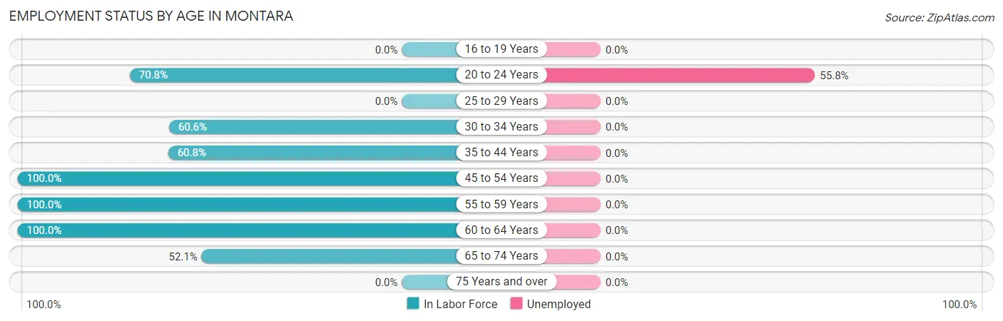 Employment Status by Age in Montara