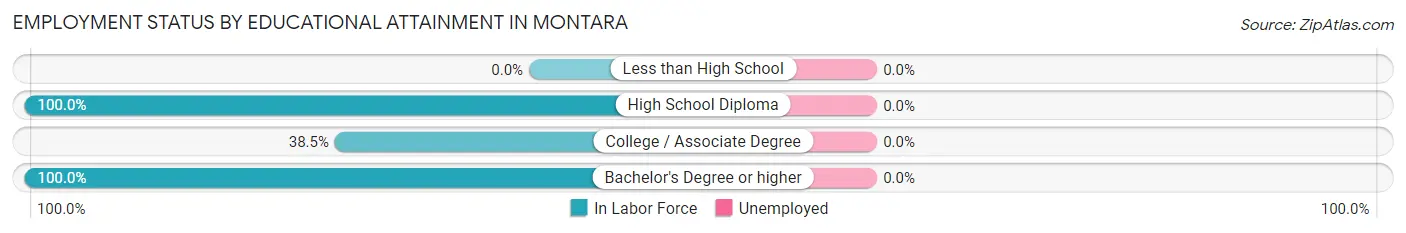 Employment Status by Educational Attainment in Montara