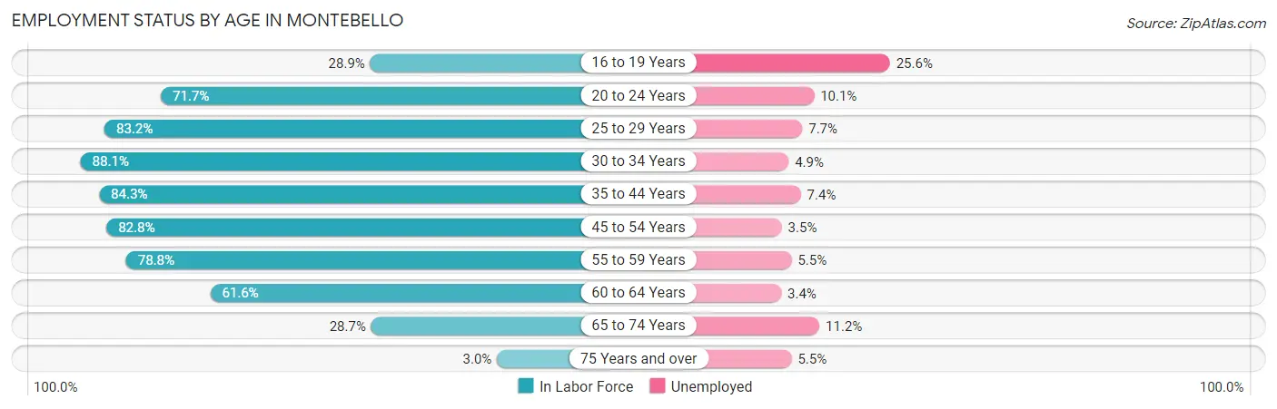 Employment Status by Age in Montebello