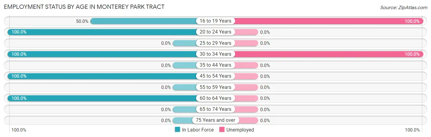 Employment Status by Age in Monterey Park Tract