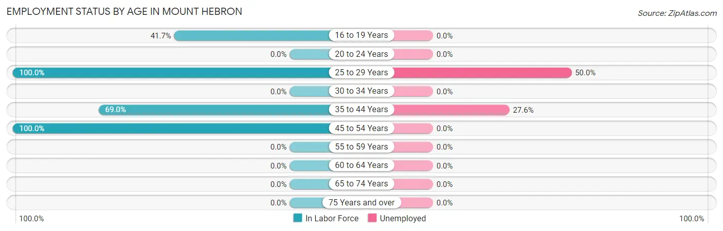 Employment Status by Age in Mount Hebron