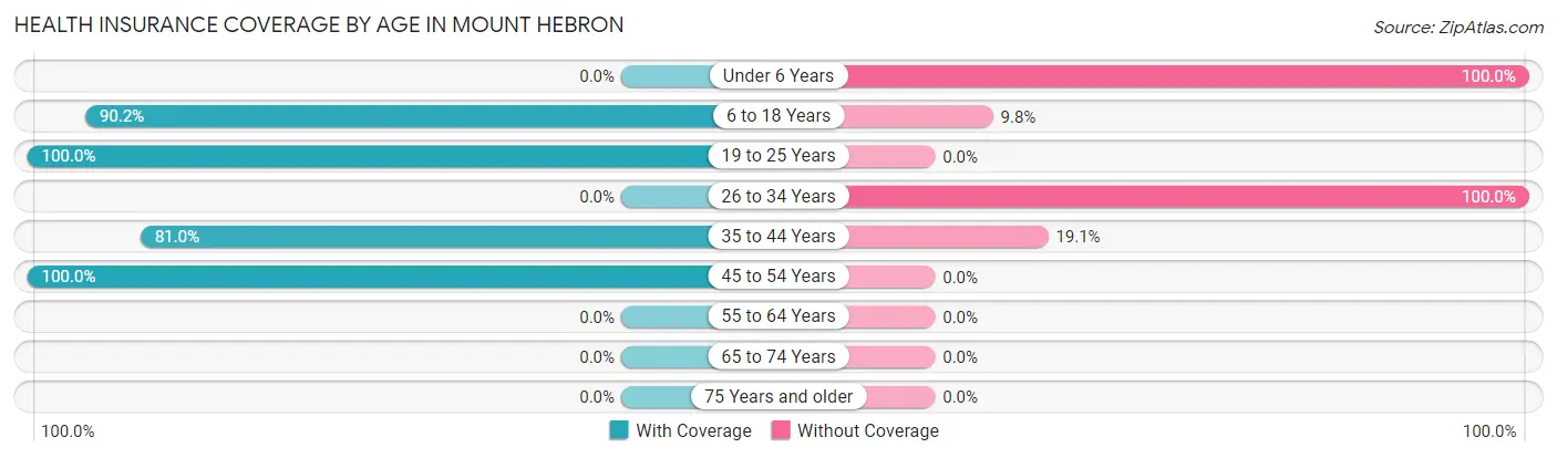 Health Insurance Coverage by Age in Mount Hebron