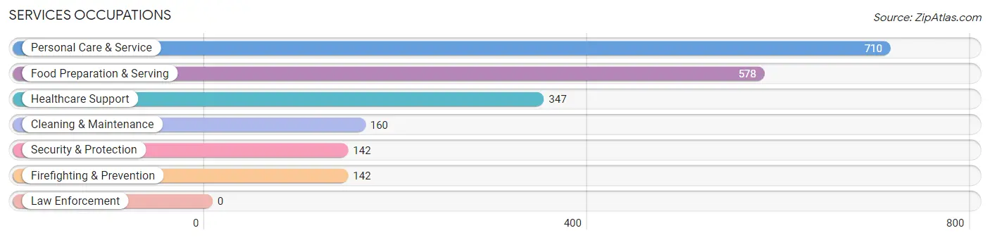 Services Occupations in Mountain House