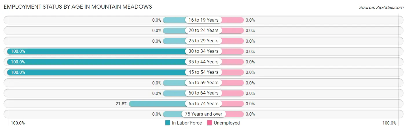 Employment Status by Age in Mountain Meadows