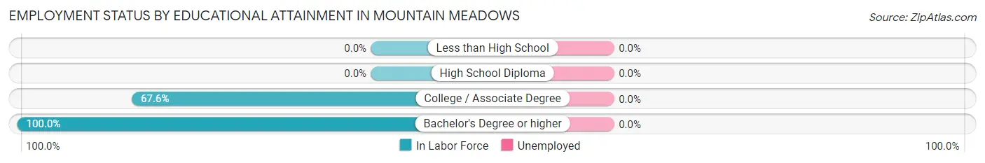 Employment Status by Educational Attainment in Mountain Meadows