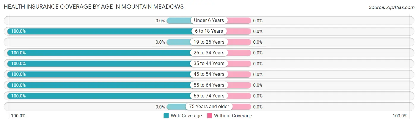 Health Insurance Coverage by Age in Mountain Meadows