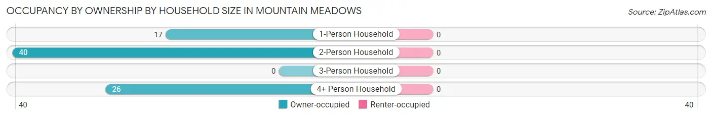 Occupancy by Ownership by Household Size in Mountain Meadows