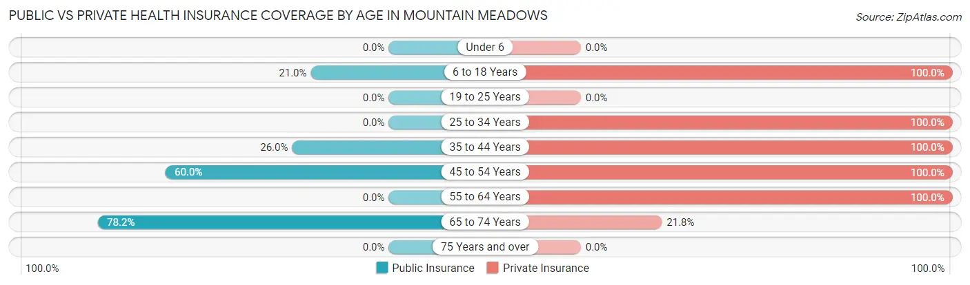 Public vs Private Health Insurance Coverage by Age in Mountain Meadows
