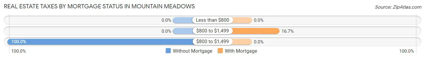 Real Estate Taxes by Mortgage Status in Mountain Meadows