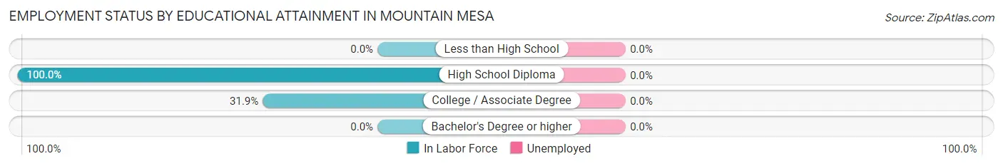 Employment Status by Educational Attainment in Mountain Mesa