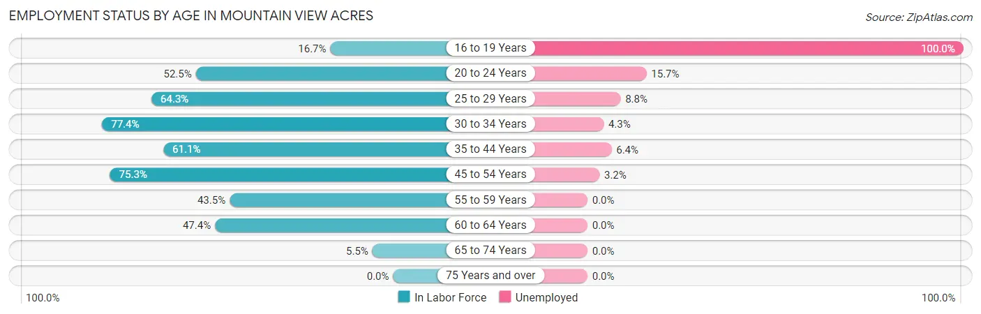 Employment Status by Age in Mountain View Acres